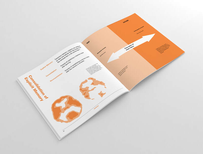 Thesis Project: 
The Alternative Textbook